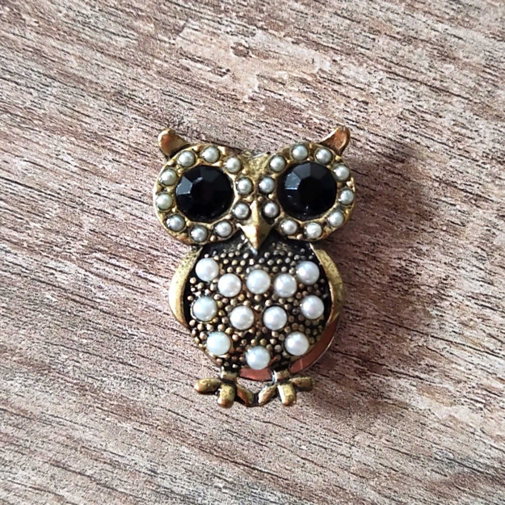 OWL BROOCH with magnetic backing!